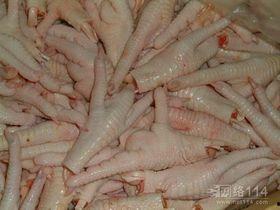 鸡爪养殖爆料视频播放网站,热门视频网站带你探秘养殖全过程