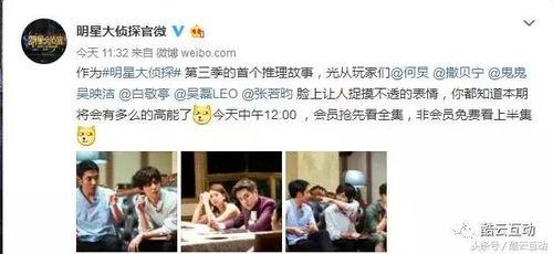 明星大侦探赞助,揭秘悬疑赞助新篇章