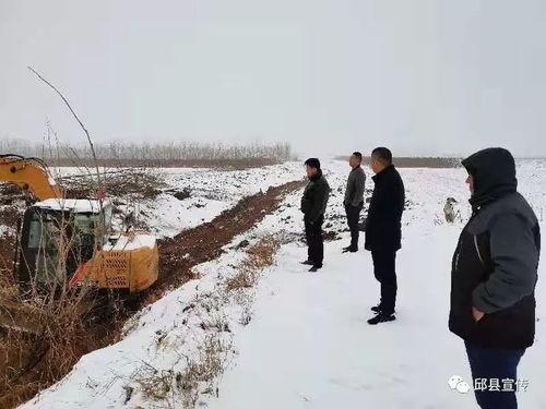 邱县南辛店今日头条,今日头条聚焦乡村振兴新篇章