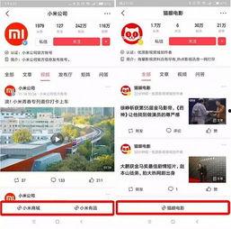 头条小程序养花,头条小程序带你轻松入门养花世界