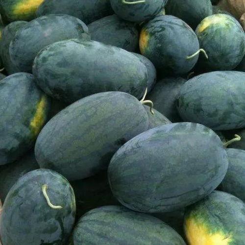 漳州龙文区吃瓜,瓜果飘香，品味夏日清凉