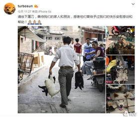 玉林狗肉节明星