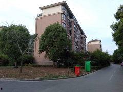 官方爆料枫丹实景视频大全,全景呈现梦幻仙境