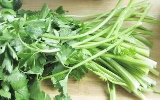 川芹菜头条号,探寻四川美食的独特魅力