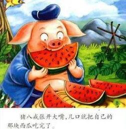 朝阳吃瓜群众小鹿酱,朝阳吃瓜群众的独特视角