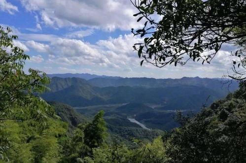 茗山网红打卡地点,探寻自然与人文的完美融合