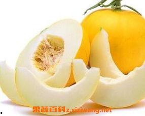 宝宝可以吃伊丽莎白瓜么,营养与适宜性分析