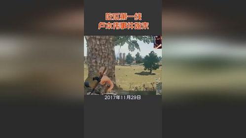 林州吃瓜事件始末,一场网络舆论的风波与反思