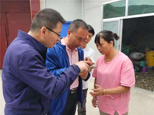 定西头条干部新闻最新,干部队伍建设新篇章，聚焦能力提升与作风转变