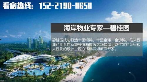 湛江吴川头条最新爆料,揭秘重大事件背后真相