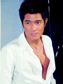 郭富城同期明星,璀璨星河中的闪耀瞬间