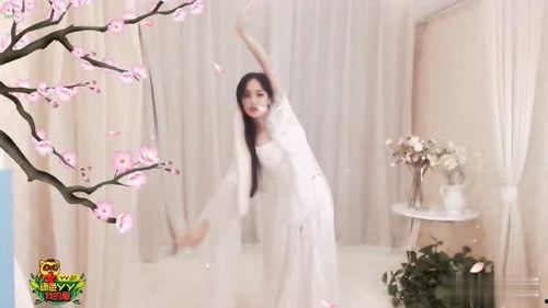 舞媚娘 网红,网红舞者引领潮流的璀璨之星