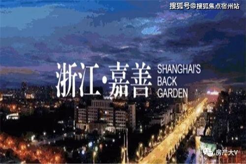 平湖小明星电话,平湖小明星电话背后的故事