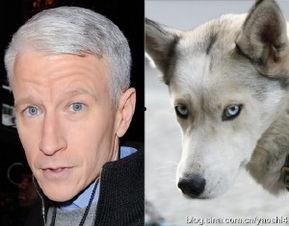 明星模仿动物名言,名言传神瞬间