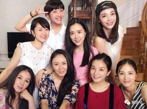 跟明星做同学,揭秘明星校园生活