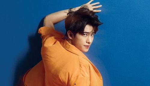 娱乐爆料迪丽热巴杨洋是哪一期,娱乐爆料揭秘哪一期精彩瞬间