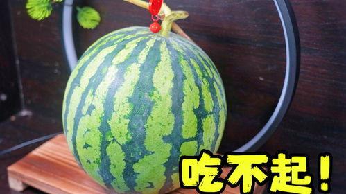 马上吃不起瓜,揭秘“马上吃不起瓜”背后的民生困境