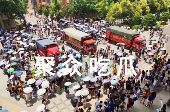 大学城吃瓜,揭秘校园美食圈的那些事儿