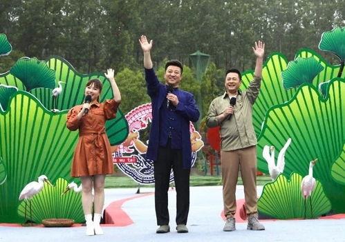 大连最近吃瓜事件视频,一场网络热议背后的真相揭秘