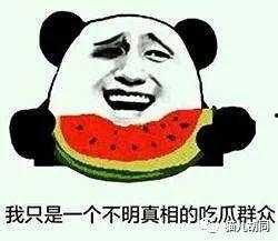 蒙面吃瓜群众代表