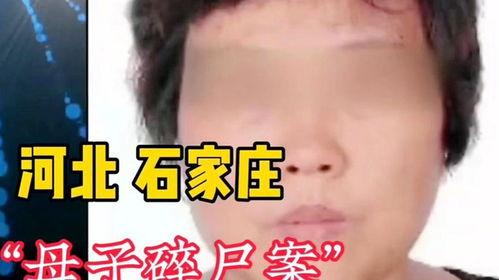 爆料母子失踪案件最新,警方全力追查，真相渐露端倪