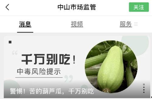 吃瓜感觉特别苦