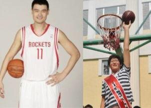 张欢明星,星光璀璨的演艺之路