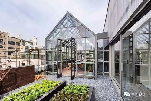 网红图书馆拍照滤镜,探寻阅读之美