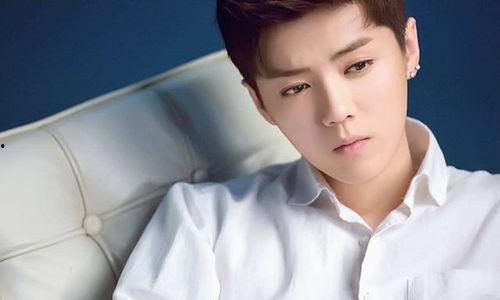 男明星陈珂,星光璀璨的男明星之路