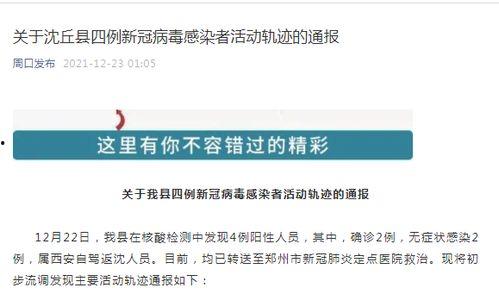 近日爆料新闻事件内容,真相与争议交织