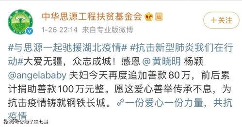 明星捐款最高记录是谁,揭秘捐款最高记录的明星传奇”