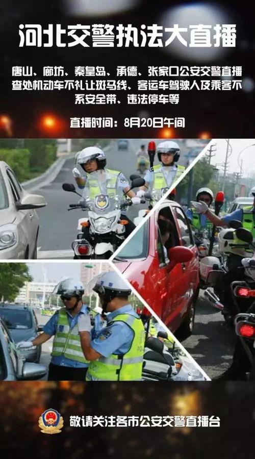河北直播交通在线观看,畅享便捷出行体验