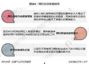 个人网红的发展方向,探索多元化发展路径