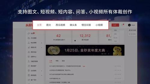 头条不显示粉丝量吗,头条神秘操作，热门账号不公开粉丝量之谜