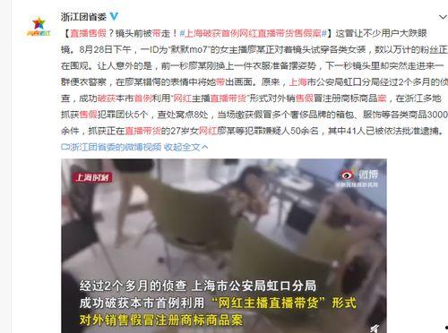 上海网红诉讼案判决,网络言论边界与法律责任的界定