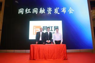 网红网 谢利明,揭秘网络红人的崛起之路