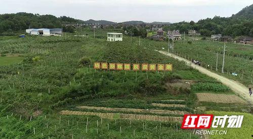 新邵潭府今日头条,探寻潭府古韵，感受今日新邵魅力