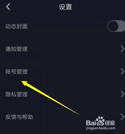 怎样拍摄头条上的视频,轻松打造爆款内容