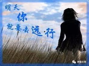 刘明星吻戏,银幕之吻，情感升华