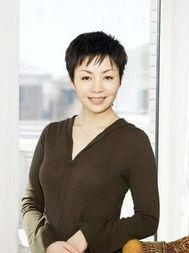 凤凰 明星介绍,璀璨星光下的传奇人生