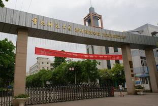 重庆网红历史大学老师,传承与创新的魅力使者