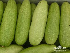 孕晚期吃白瓜,营养与健康的双重守护