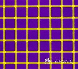 明星视错觉图片,照片中的惊人变化与错觉之谜