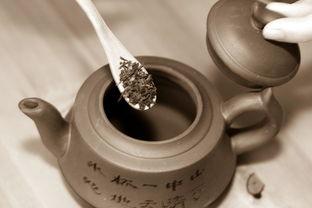 显微镜下看泥料真假,显微镜下的泥料真伪辨析