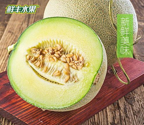 日本网纹瓜怎么吃,日本网纹瓜的多彩食法探索