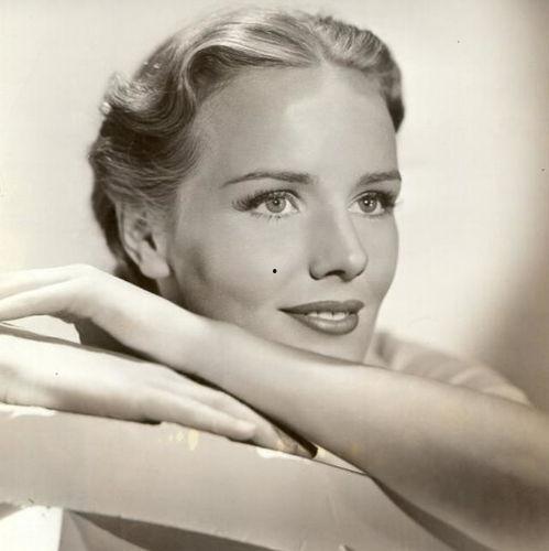 女明星西斯,璀璨星河中的璀璨明珠