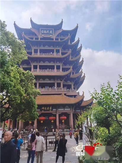 温州浴火重生新闻头条,城市复兴之路的辉煌篇章