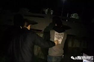 平安主播最新爆料,最新爆料背后的惊人真相