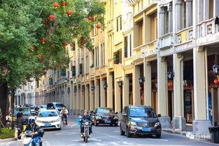 网红街现象现状分析,繁华背后的冷思考与未来展望