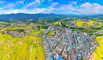 龙圩网红,揭秘网络红人的崛起与影响力